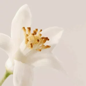 Гель для лица для снятия макияжа Nue, 150 мл - изображение 2