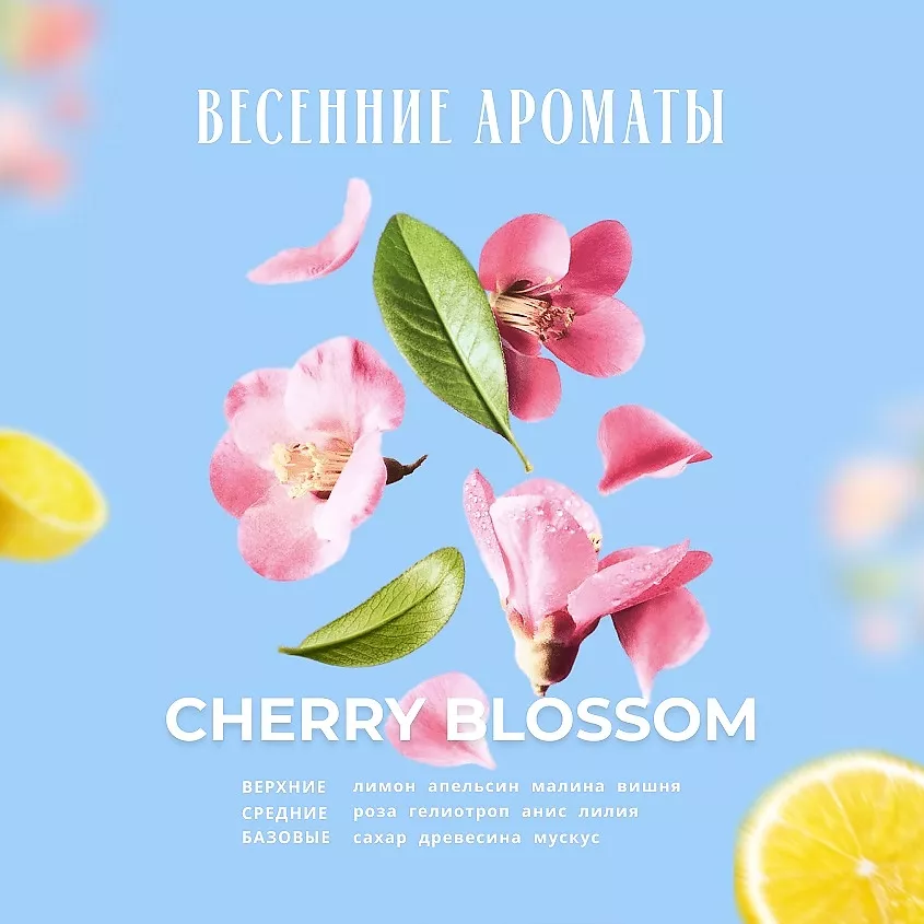 Кондиционер для волос Цветок вишни Honey & Macadamia Treatment, 500 мл